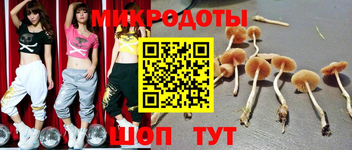 Стерлитамак  Псилоцибиновые грибы MAGIC MUSHROOMS  Вход с VPN  Псилоцибиновые грибы ЛСД 